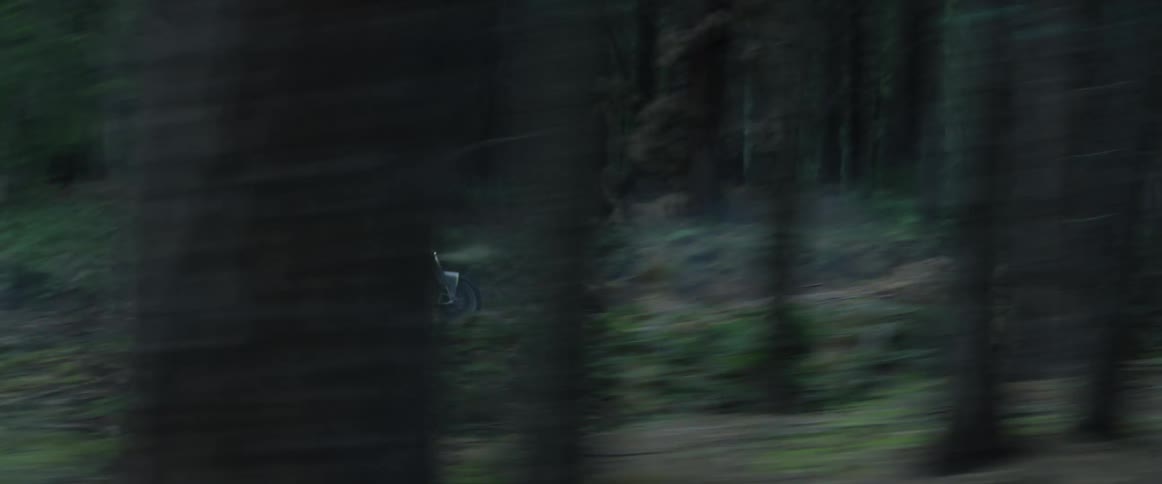 A person is driving their motorcycle through the woods