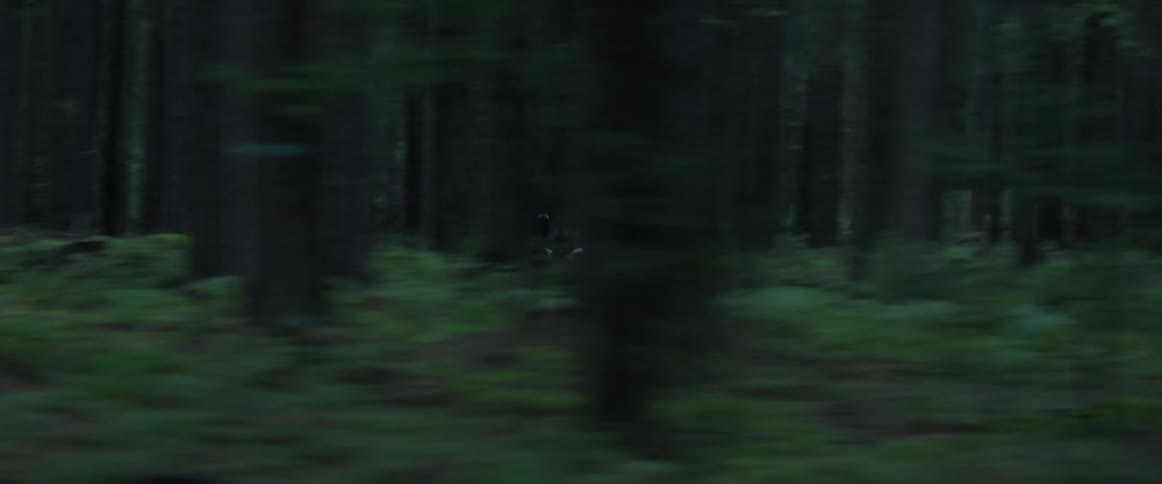 A person riding a motorcycle on a road is seen through the passing trees on the forest