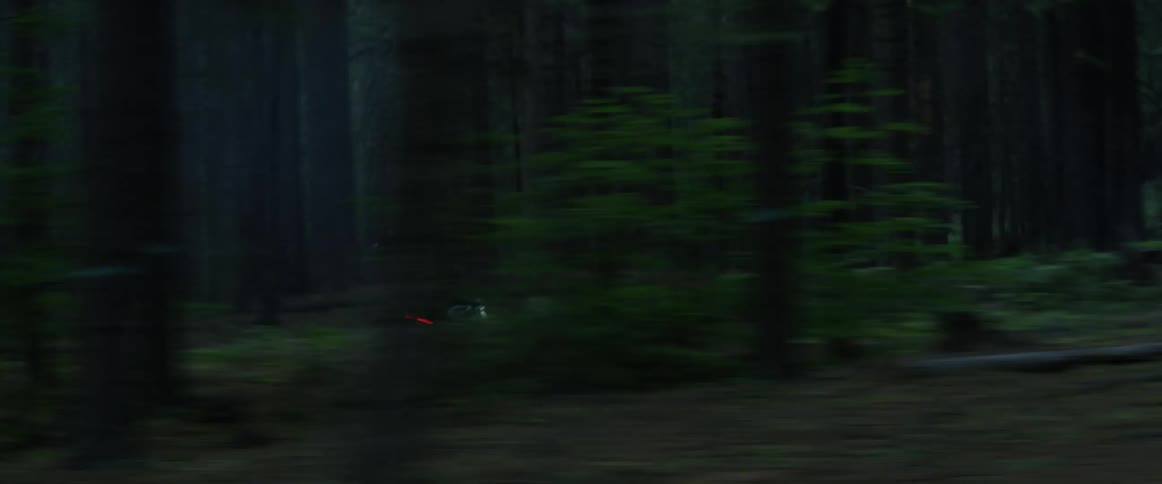 A person wearing black riding a red motorcycle through a forest