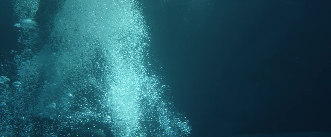 A man in a full diving suit jumps into the water
