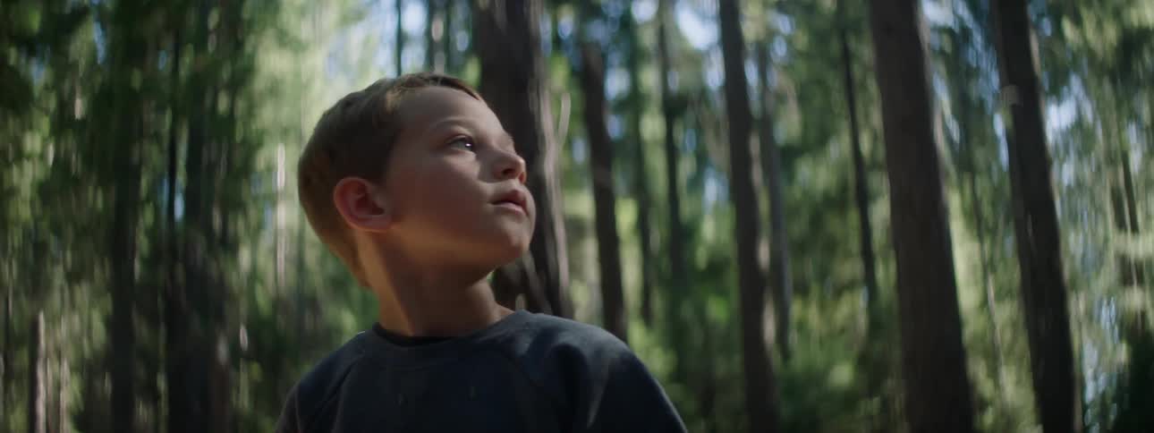 A little boy looking around at tall trees in a forest surrounding him
