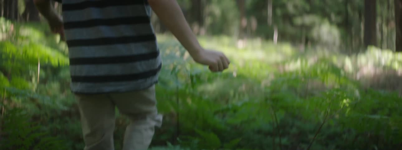 A child walks through the forest