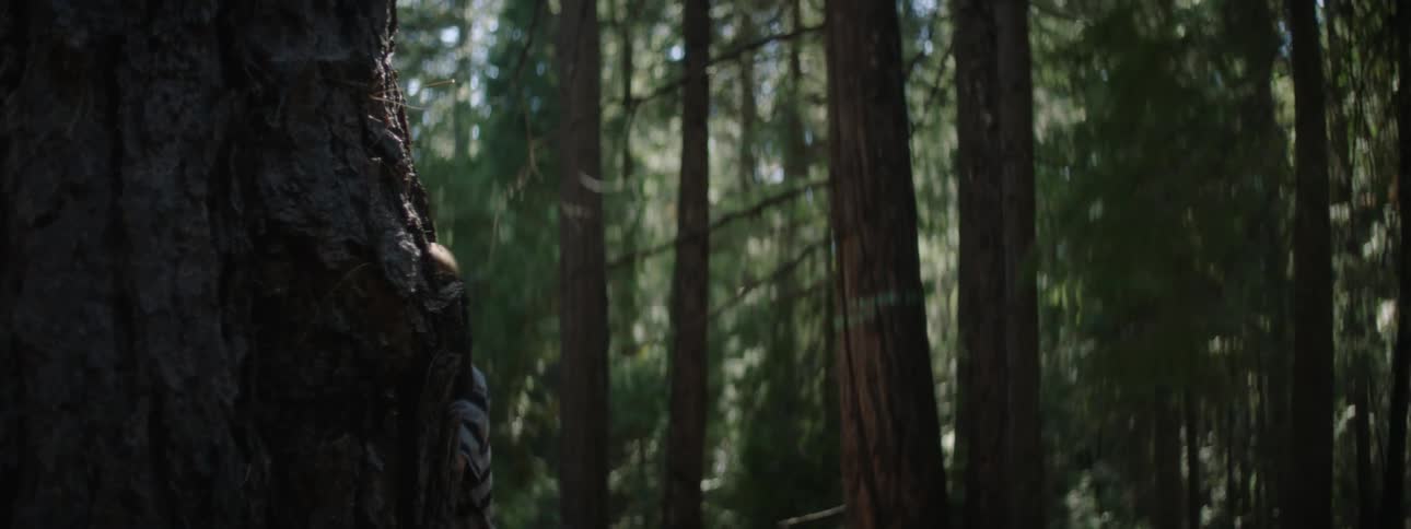 A young boy runs up to a large tree and pokes his head out from behind it while smiling