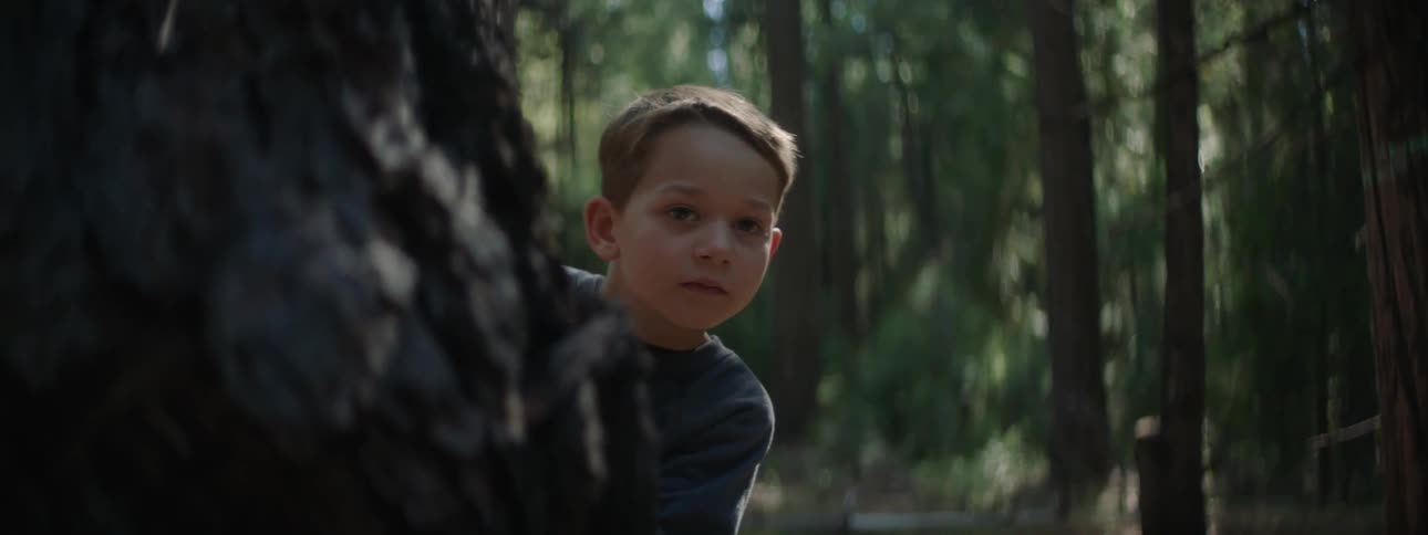 A boy is playing in the forest as he peeks around a tree