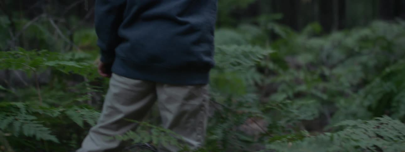 Boy in blue sweater and gray pants walks across the green forest