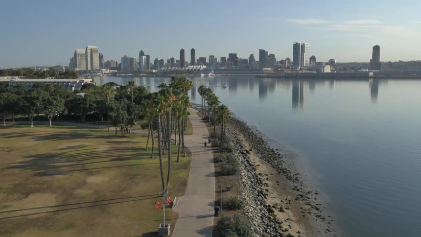The shore is lined with palm trees with a city ahead