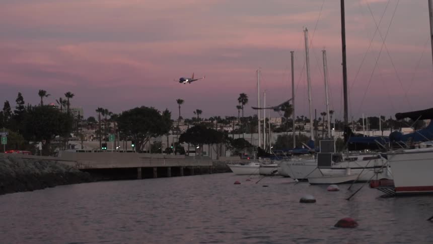 A plane is going in to land near a town as a bird flies past