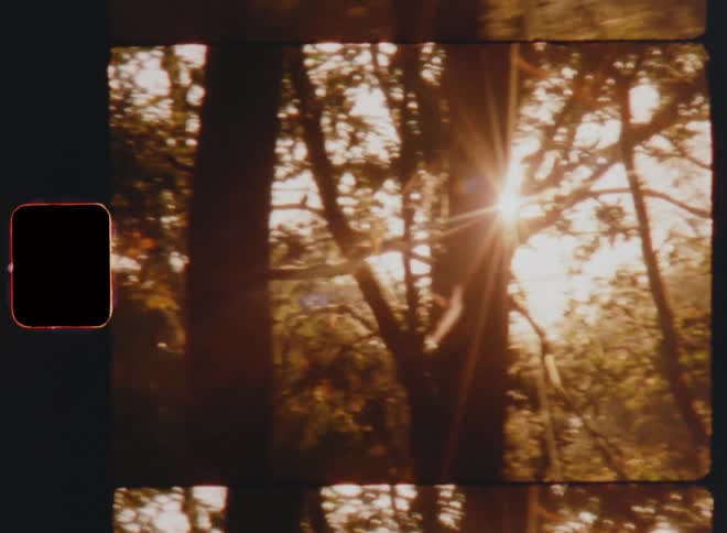 Shaky Super 8 film footage with dynamic camera movement of bright sunlight that shines through trees in the woods causing strong lens flare in the vintage Super 8 camera