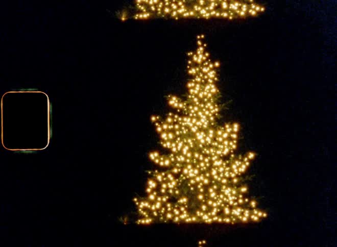An outdoor pine tree standing on a town square during a Christmas market covered in golden yellow lights shining and glooming in the darkness of a cold December night during advent time for a holiday celebration spirit and festive atmosphere and mood