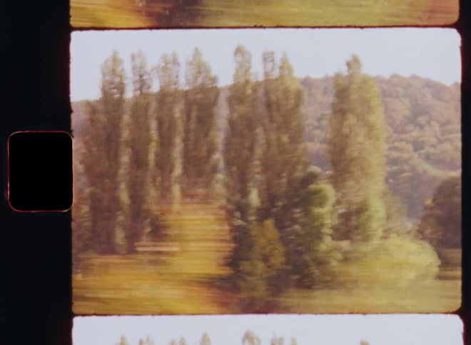 Dynamic film footage looking out of a car window moving or driving at high-speed viewing a woodland landscape with autumn foliage in fall colors and bright sunshine