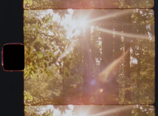 Sun shining through forest trees as the tree trunks block the bright sunlight making it flicker as it reappears causing lens flares and reflections on vintage Super 8mm film with sideways camera movement