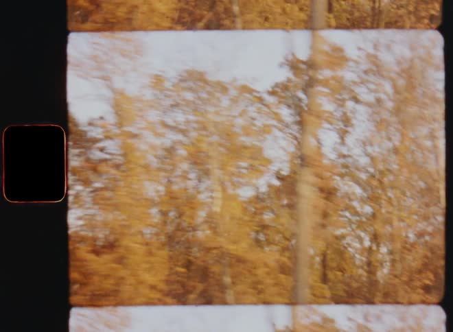 Looking out of the window of a car driving through the forest on a road or street as the trees covered in autumn leaves and orange fall foliage pass by in front of blue sky in high speed with fast movement