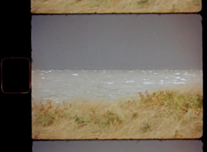 Gray waves with white foam caps caused by a windy storm roll between a dark sky and grassy shore during bad weather as a tempest approaches at the horizon over the lake or sea