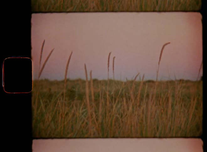 Film footage of the sun setting in a field with weeds in grassland area making the sky glow red and purple on a mild summer evening by the coast on the countryside in nature with sideways camera movement