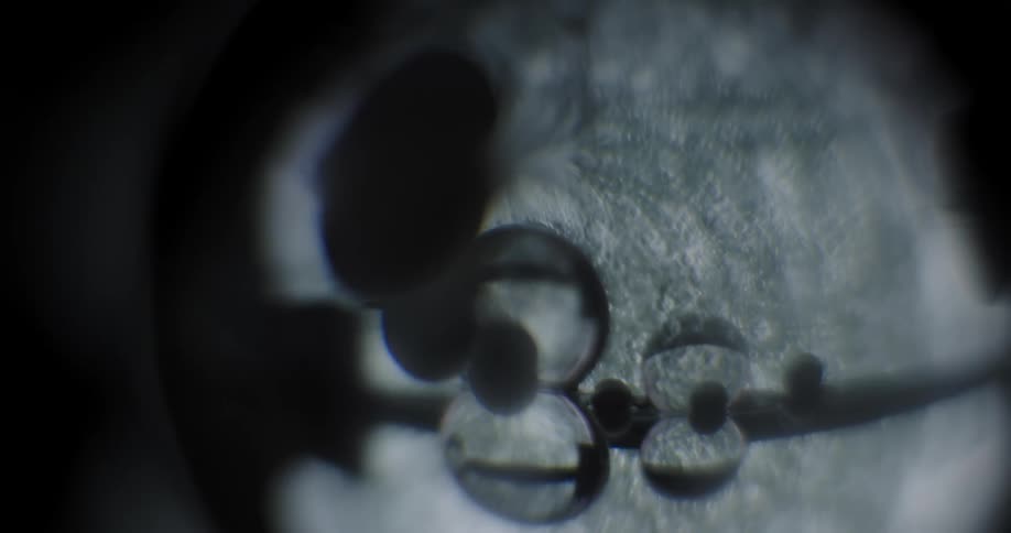 View of two transparent spherical objects and several egg shaped ones while grey shapes move in the background and a bright light shines on the right side for a few seconds
