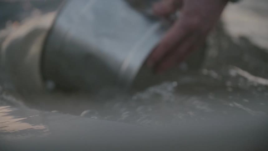A person scoops a bucket of water