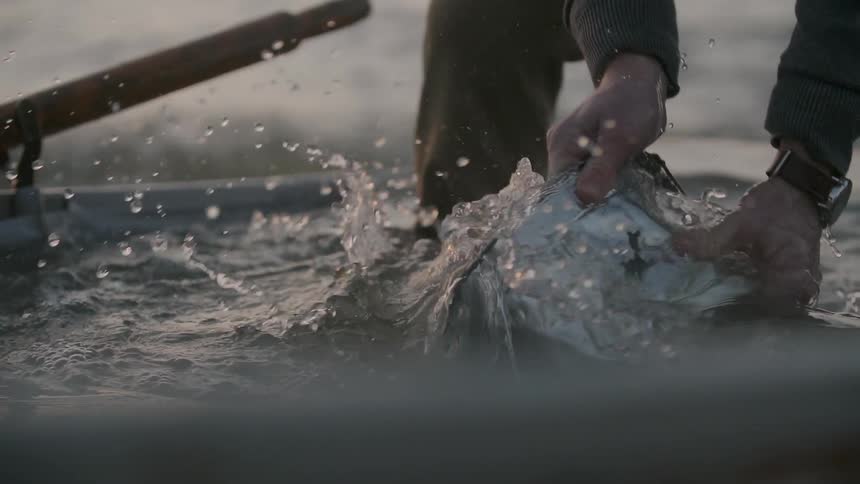 A person is using a pale to dump water out of a boat
