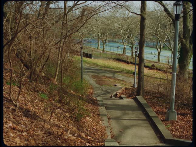 Fallen leaves cover the ground in a park