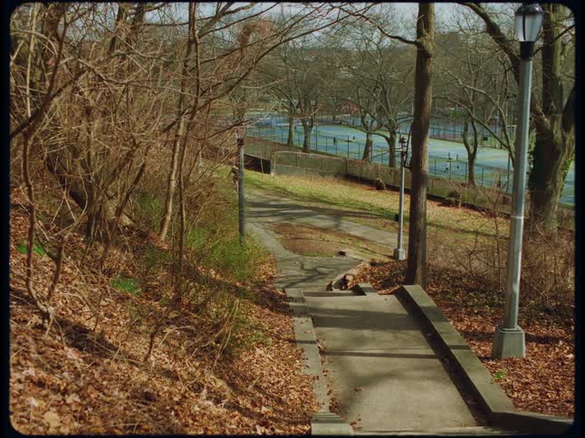 People ride bicycles and play tennis in a park