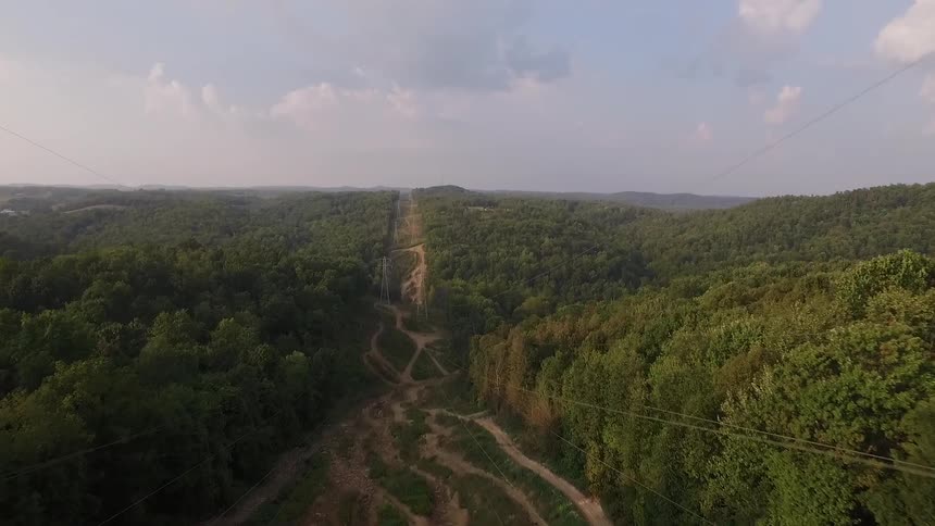 Power lines go downhill past a very large forest