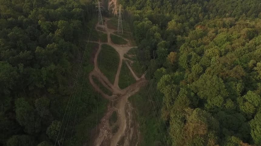 Dirt tracks winding near power pylons in a vast forest