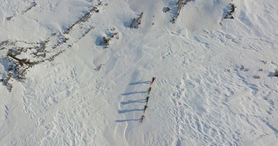 A group of people on skiis move across snowy plains in a line