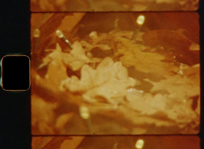 Mist or fog floating above autumn leaves from an oak tree and a string of small lights on the ground in the twilight or last light on a cold fall evening on vintage 8mm film causing a nostalgic feeling