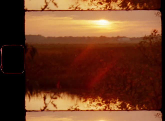 Warm sun rays over a calm pond surrounded by trees and reeds on the countryside during sunset and golden hour on nostalgic 8mm film