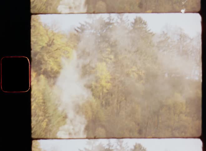 Smoke billowing out of a house chimney traveling up into the air over trees