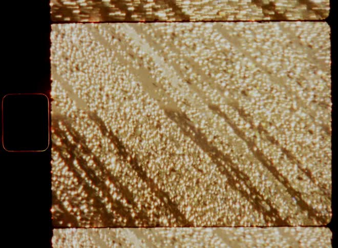 A piece of glass has multiple small droplets of condensation accumulated on it