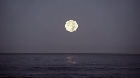 A full moon sits above the water