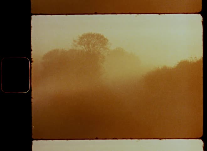 Fog or mist covers the fields with trees and bushes as the sun rises on a stunning and misty or foggy autumn morning with warm and golden sunlight with nostalgic retro vibes