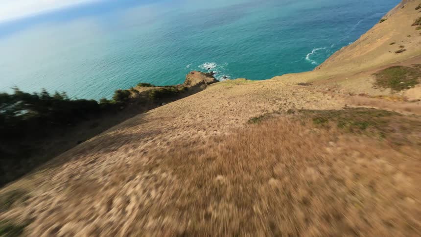 A fast and dramatic FPV Aerial shot where the camera flies through tall trees and drives down the face of a cliff toward the sea