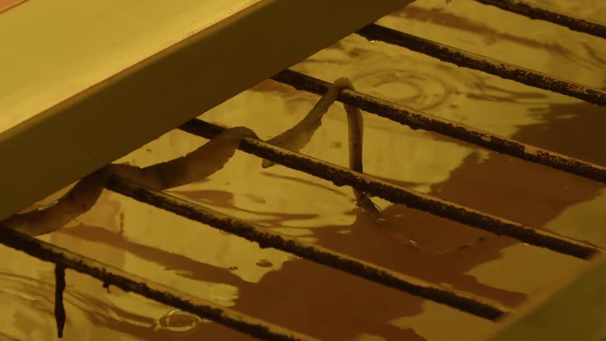 A drain with steel bars over it and waste on the bars