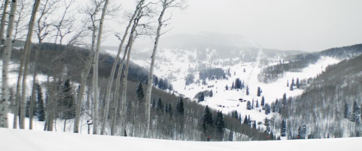 A snow covered valley and mountain landscape with bare trees throughout
