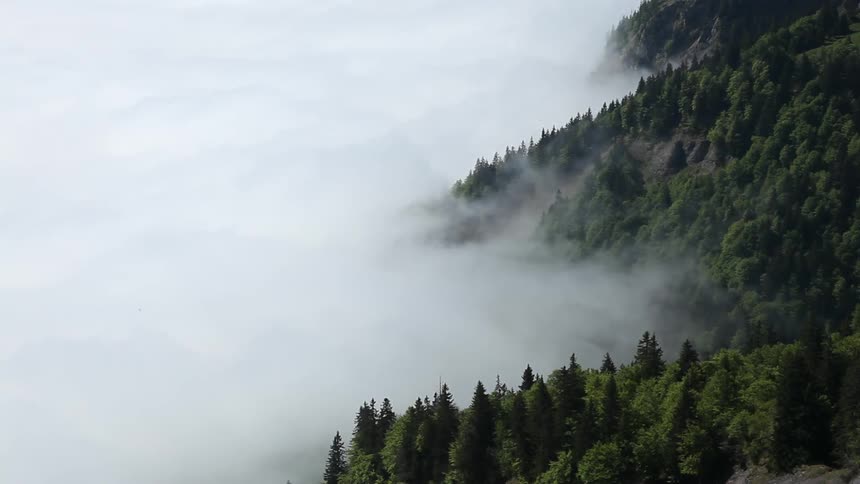 Clouds partially cover tree covered mountains
