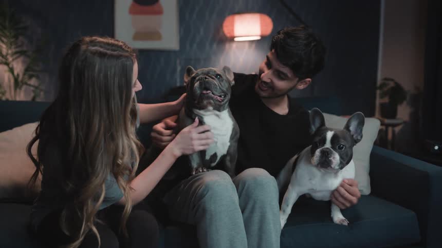 Man and woman smile while sitting on couch petting two dogs