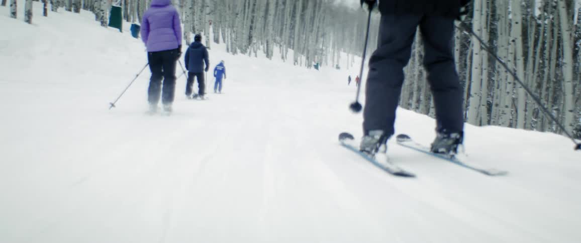 Skiers ski down gentle slope bordered by woods