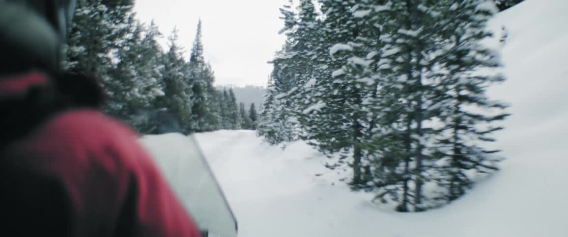 A persons backside driving a snowmobile through a snowy forest on a path