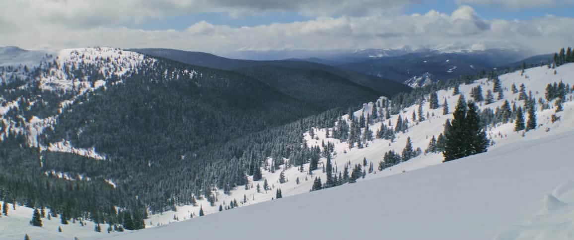 The view is of the nature area in the winter time