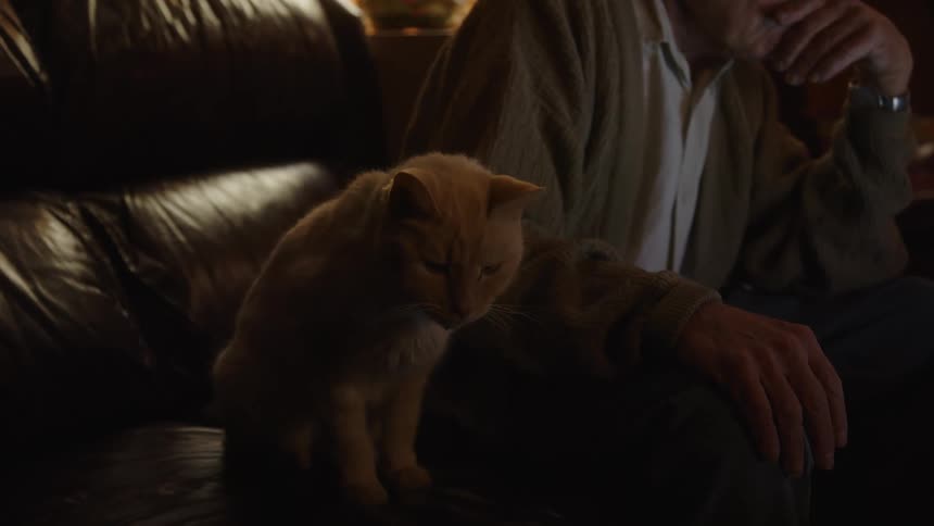 A man sits on the couch with his cat
