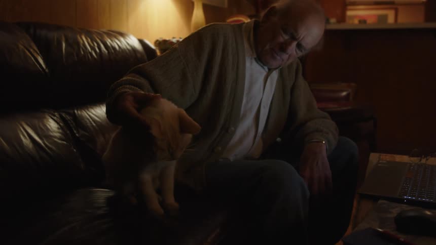An elderly man is petting a cat and is on his laptop