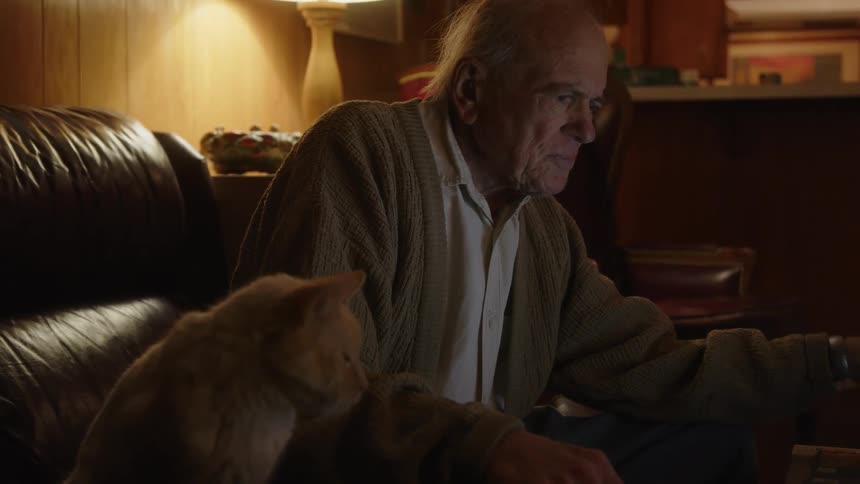 Elderly man sitting on a couch at home gets frustrated while typing on a laptop