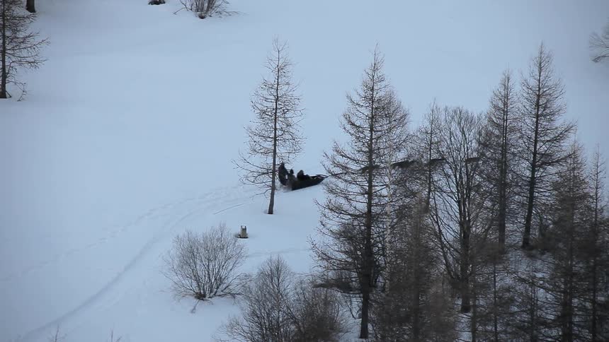 Several people riding on a dog pulled sled through the snow