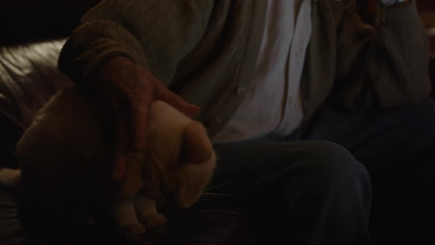 An old elderly man is sitting down and petting his cat