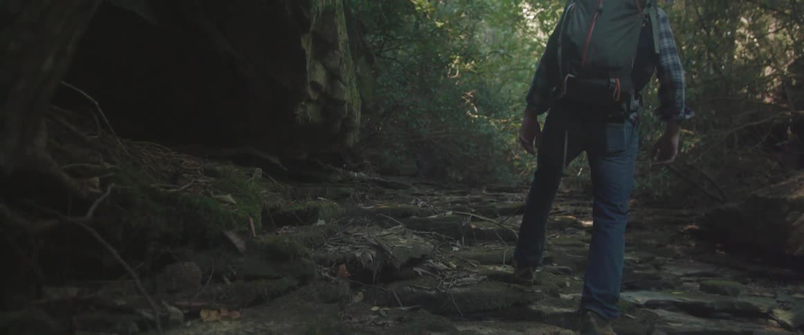 Man wearing a backpack hikes through the woods