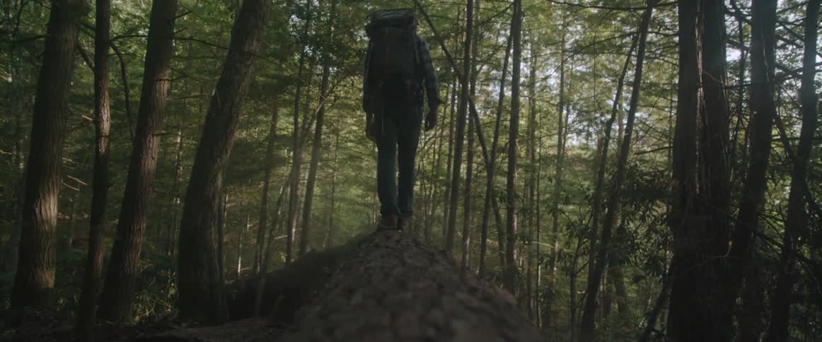 A man is hiking along the top of a fallen tree