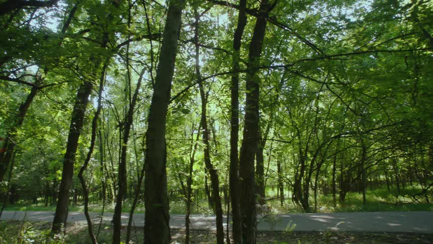 Woman running along wooded trail with dog during the day