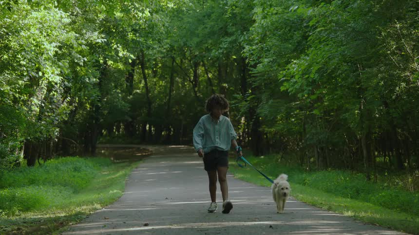 Young person walks a white dog on the path through a park at morning