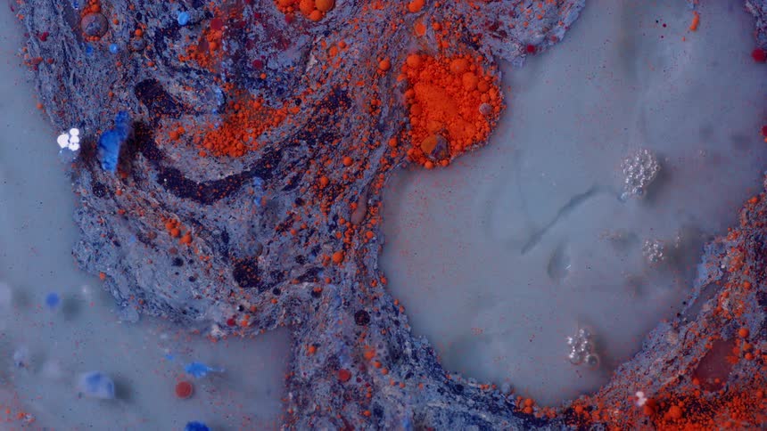 Close up of swirling bright red and blue liquid ink sloshing around